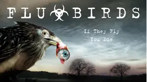 Flu Birds