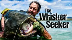 The Whisker Seeker