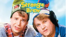 Strange Brew