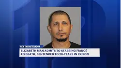 Elizabeth man sentenced in fiancée stabbing death