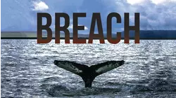 Breach: Admired. Endangered. Hunted.