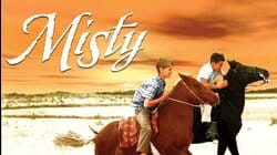 Misty