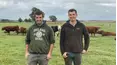 The Yorkshire Vet