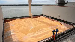 Over 20 Million Tons Of Grain Are Stuck In Ukraine. What Does That Mean For The World?