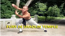 Fury in Shaolin Temple