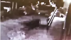 Cigarette butt caused fiery explosion that injured 7 firefighters in the Bronx: officials