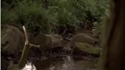 The Ark of the Covenant