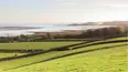 Countryside Emergency