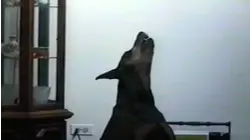 Snack time