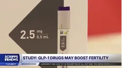 Scientists say GLP-1s improved male testosterone levels and sperm count