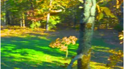 Growing Deer S12:E41 "How To Make A Small Hunting Plot Using Hand Tools"