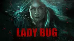 Lady Bug