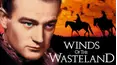 Winds Of The Wasteland