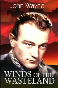 Winds Of The Wasteland