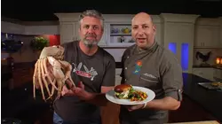 How To Do Florida Yard Makeover And Crab Burgers