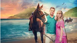 The Honeymoon Pact