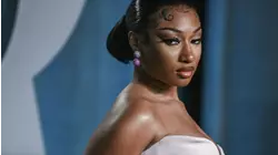 Megan Thee Stallion wins defamation trial against blogger