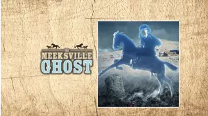 The Meeksville Ghost