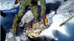 Russia's Mountain Mummy Enigma