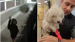 Woman arrested after video shows dog being thrown over fence