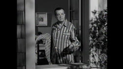 Dennis The Menace: S1 E14 - Dennis' Tree House