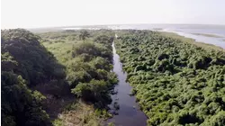 Florida's Garden of Eden