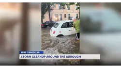 Severe storms leave trail of damage across Brooklyn