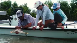 Guiding Flow S1:E5 "Their Everglades"