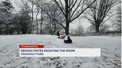 Sledders take to Prospect Park to enjoy snowy weather