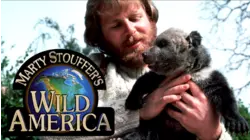 Season 2, Wild Wings