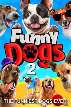 Funny Dogs 2