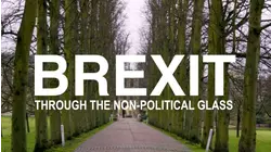Brexit Through the Non-Political Glass