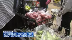 Nearly 2 million Illinoisans set to lose SNAP benefits amid congressional stalemate
