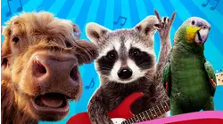 Animal Dance Party