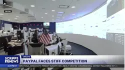 PayPal's online checkout empire under siege as rivals squeeze its core business