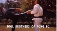 Soul Brothers of Kung Fu