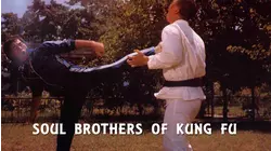 Soul Brothers of Kung Fu