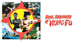 Soul Brothers of Kung Fu