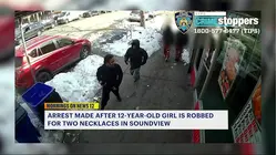 Highbridge man arrested for alleged role in violent robbery of 12-year-old girl in Soundview