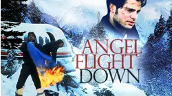 Angel Flight Down
