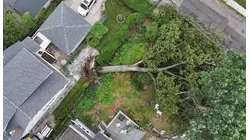 Trees continue falling across the Hudson Valley days after storms move out