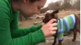 We Heart Animals