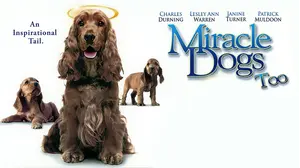 Miracle Dogs Too