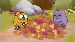 The Autumn!