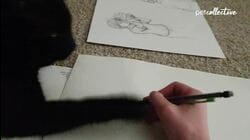 The World's Most Purrrfect Black Cats