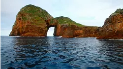 Poor Knights Islands