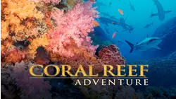 Coral Reef Adventure
