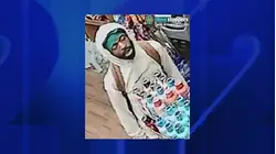 Brick-wielding robber attacks man in The Bronx