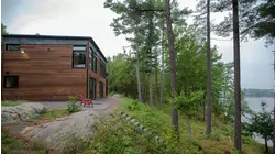 Wild About Wood