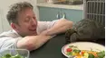 The Yorkshire Vet